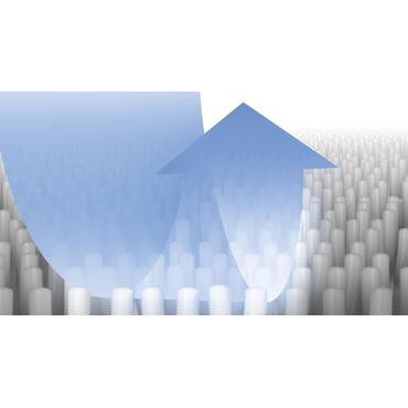 Bosch BBZWDSET støvsuger tilbehør & forsyning Renseløsning Beholder vakuum