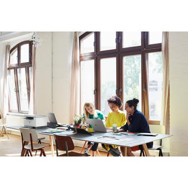 HP LaserJet MFP M234d Printer