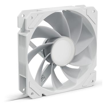 SHARK Mirror RGB PWM REVERSE (wei&szlig;)