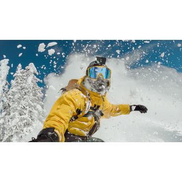 GoPro Head Strap 2.0 støttesystem - pandebåndsmontering