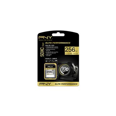 PNY 256GB SDXC class 10 UHS-I Klasse 10