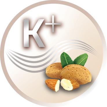 Remington AC8002 h&aring;rt&oslash;rrer 2200 W Gr&aring;