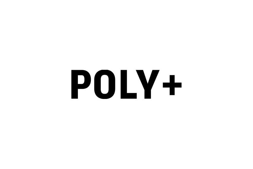 POLY PLUS 1 YEAR REALPRESENCE