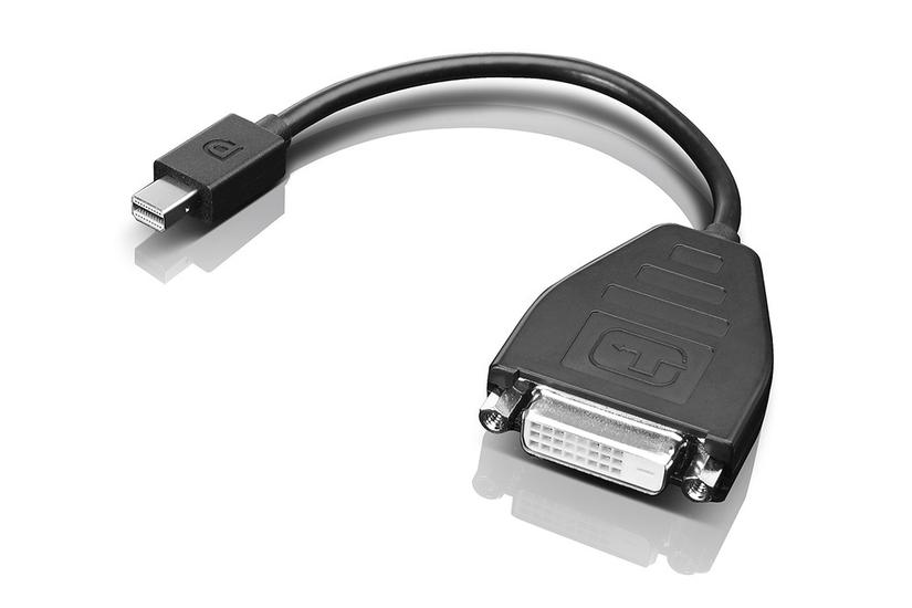 Lenovo DisplayPort-adapter - 20 cm