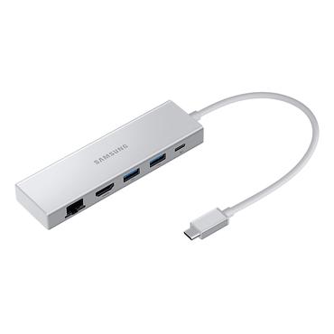 Common Silver Multiport