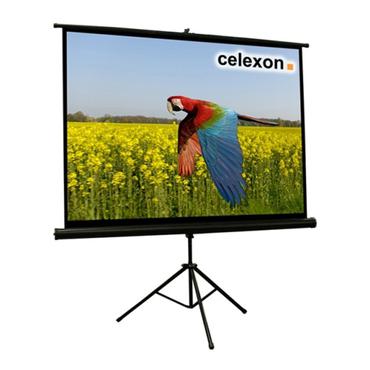 Celexon Economy tripod screen projektorduk med stativ - 104" (265 cm)