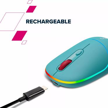 Mw-22 Mouse Universal