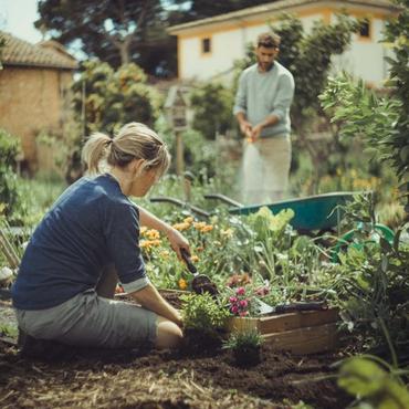 Fiskars Xact Haveplanteske Rustfrit st&aring;l Sort, Rustfrit st&aring;l