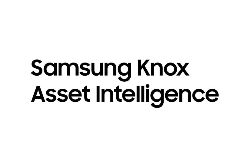 Knox Asset Intelligence 2-year License