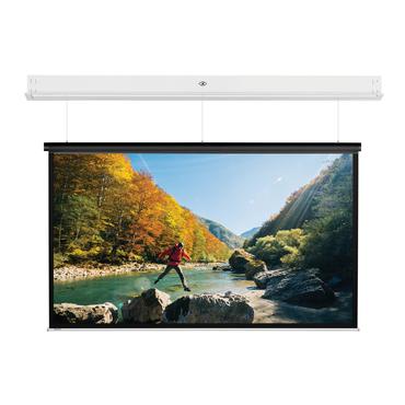 Projecta DescenderPro SightLine 203x270