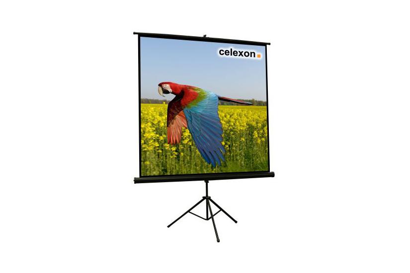 Celexon Economy tripod screen projektionsskærm med trebenet stativ