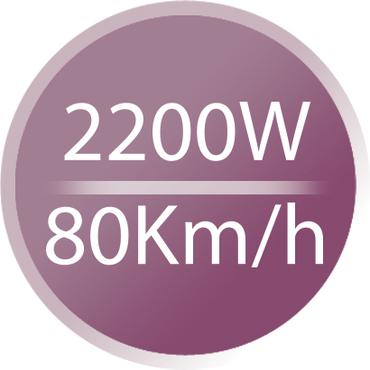 Remington Pro-Air D5210