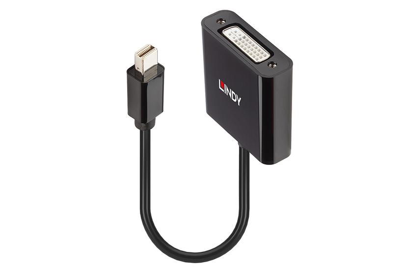 Lindy 41736 kabel k&oslash;nsskifter Mini DisplayPort DVI-D Sort