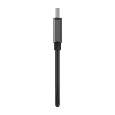 Belkin videokort - DisplayPort / HDMI - 22.05 cm