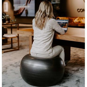 SWEDISH POSTURE Gym Ball Resistance Band