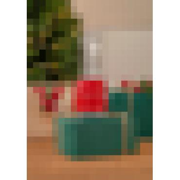 Smeg 50's Style Blendere PBF01RDEU Rød