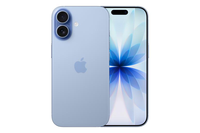 Apple iPhone 17 16 cm (6.3") Dual SIM iOS 26 5G USB Type-C 256 GB Blå