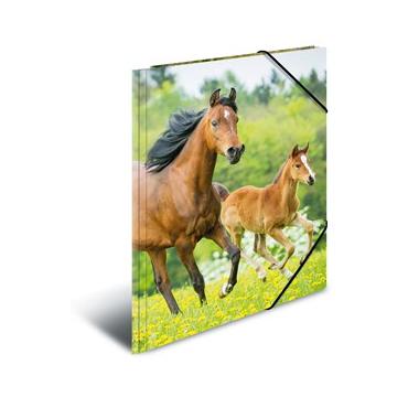 HERMA 7140 folder Polypropylen (PP) Flerfarvet A4