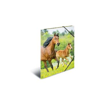 HERMA 7140 folder Polypropylen (PP) Flerfarvet A4