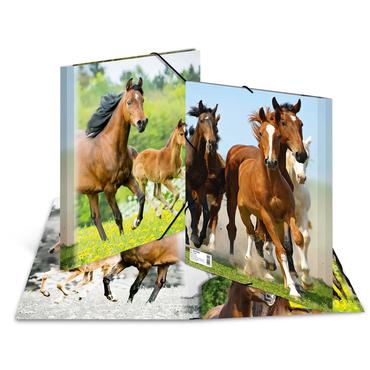 HERMA 7140 folder Polypropylen (PP) Flerfarvet A4