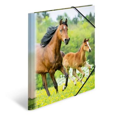 HERMA 7140 folder Polypropylen (PP) Flerfarvet A4