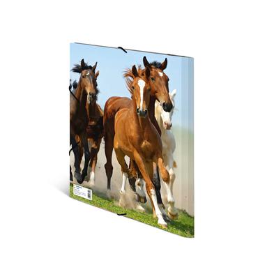 HERMA 7140 folder Polypropylen (PP) Flerfarvet A4