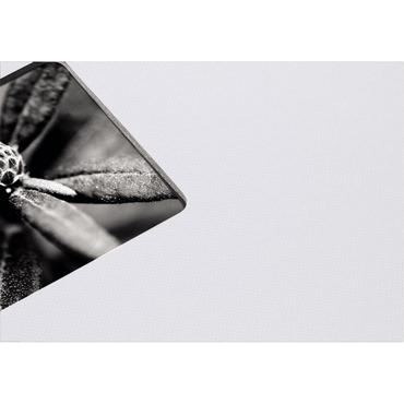 Hama Fine Art fotoalbum og arkbeskyttelse Gr&aring; 100 ark 10 x 15 cm