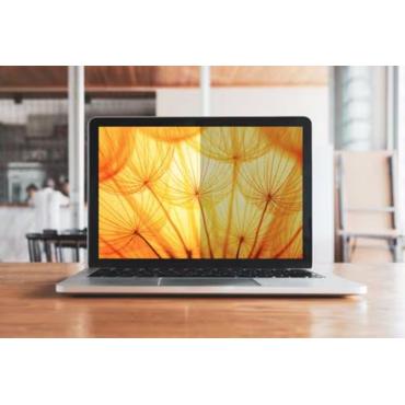 3M BP145W1B antirefleks skærm 36,8 cm (14.5") Laptop Rammeløst display privatlivsfilter