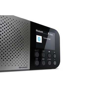 Sharp DR-P520 Personligt Digital Grå