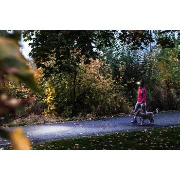 LED headlamp Ledlenser HF4R Core Black