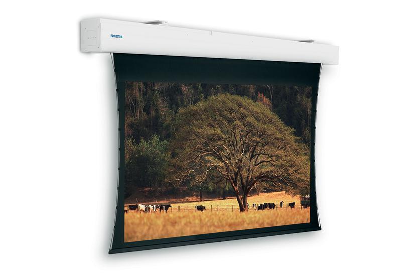 Projecta Tensioned Elpro Large Electrol