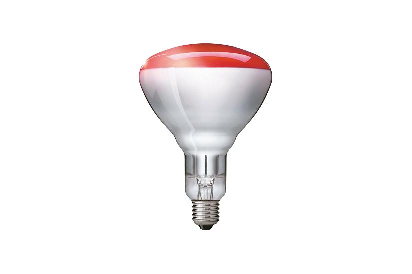 Philips Infrarotlampe BR125 IR 250W E27 230-250V Red