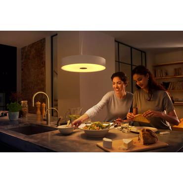 Philips Hue Fair white 1x33.5W 24V