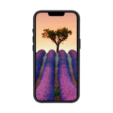 dbramante1928 Roskilde