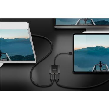 Goobay 60171 USB grafisk adapter Sort