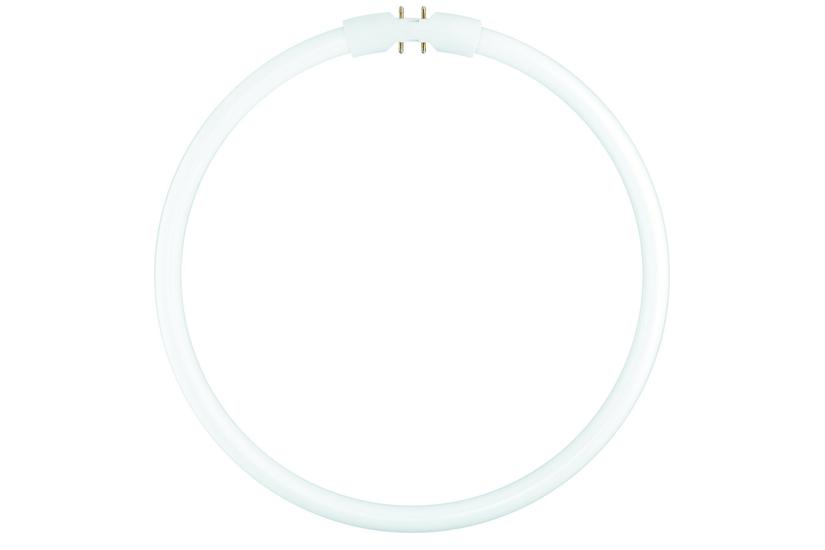 Osram FC 40 W/840 LED-lampe Kold hvid 4000 K 39,9 W