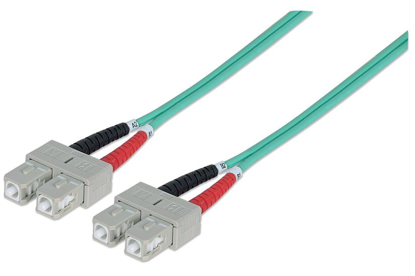 Intellinet 751025 InfiniBand og fiberoptisk kabel 1 m SC Turkisfarve