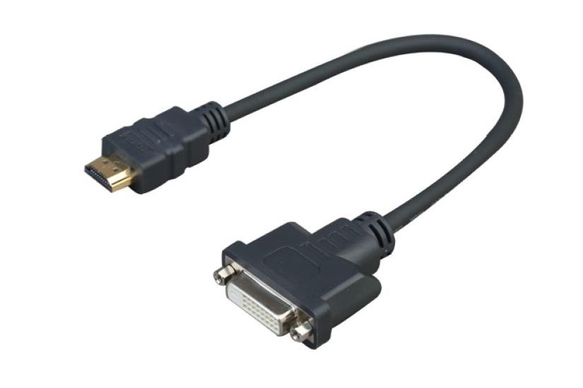 VivoLink Pro videoadapter - HDMI / DVI - 20 cm