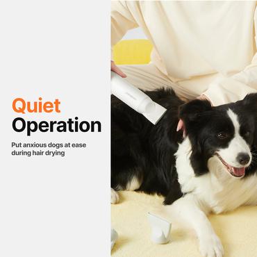 Pet Hair Dryer Neakasa F1
