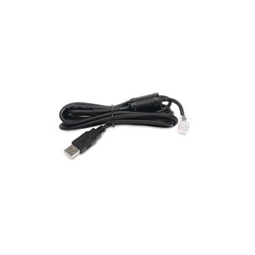 APC - USB-kabel - USB till RJ-45 (10 pin) - 1.8 m
