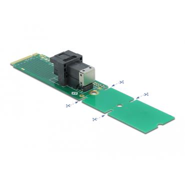 Delock Adapter M.2 Key M to SFF-8643 NVMe 22110 / 2280 / 2260 - interfaceadapter - U.2 NVMe - M.2 Card