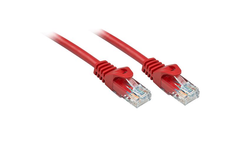 Lindy 48185 netværkskabel Rød 5 m Cat6 U/UTP (UTP)