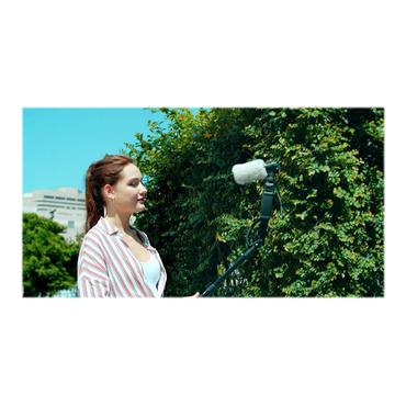 AVerMedia Live Streamer MIC 133