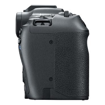 Canon EOS R8 - digitalkamera - endast stomme