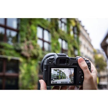 Canon EOS R8 - digitalkamera - endast stomme