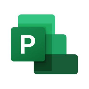 Microsoft Project Professional 2019