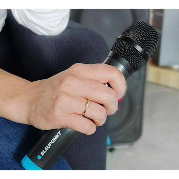 Blaupunkt Mikrofon
