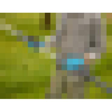 Gardena HighCut 250/18V - Ready-To-Use Set - ørnenæb - elektrisk - ledningfri