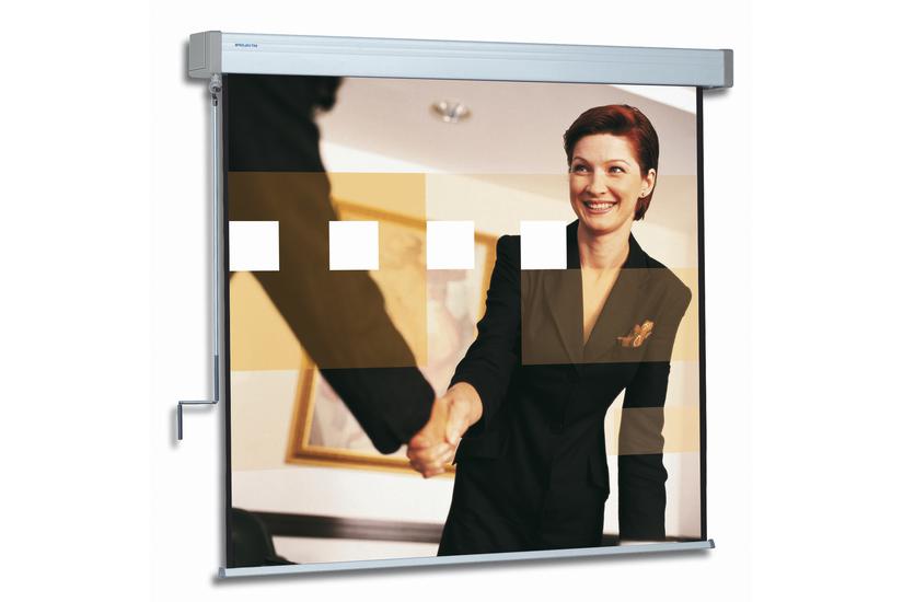 Projecta Hapro Manual Classic 218x290 Ma