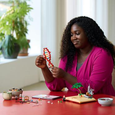 LEGO Ideas - Die Entstehung von MINT 18+(21355)